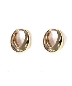 Small Shiny Gold Hoop Earring